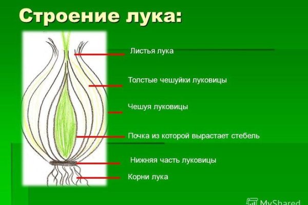 Кракен онион зеркала зеркало