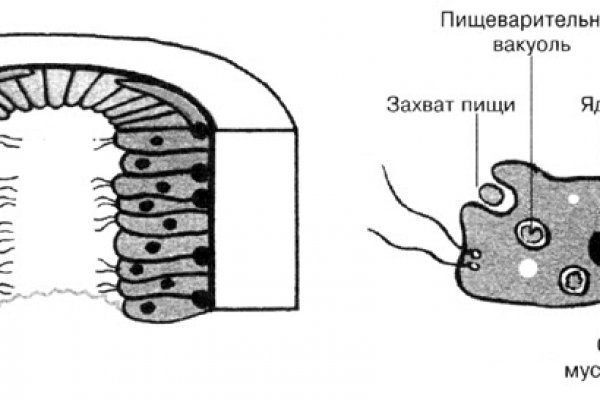 Найти ссылку кракен